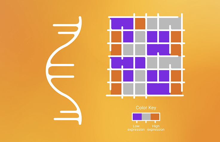 How to start your first RNA-Seq project
